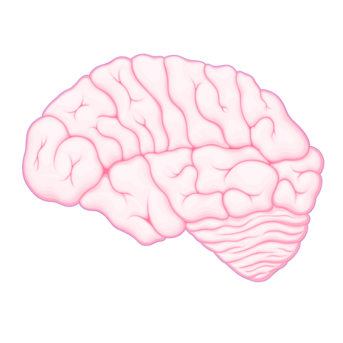A Brainy Mess